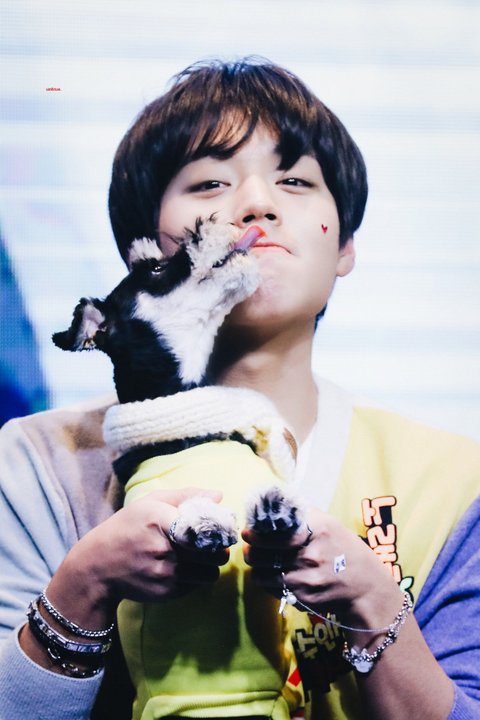 박지훈도-애견샵에서-강아지-데려옴-3-이미지