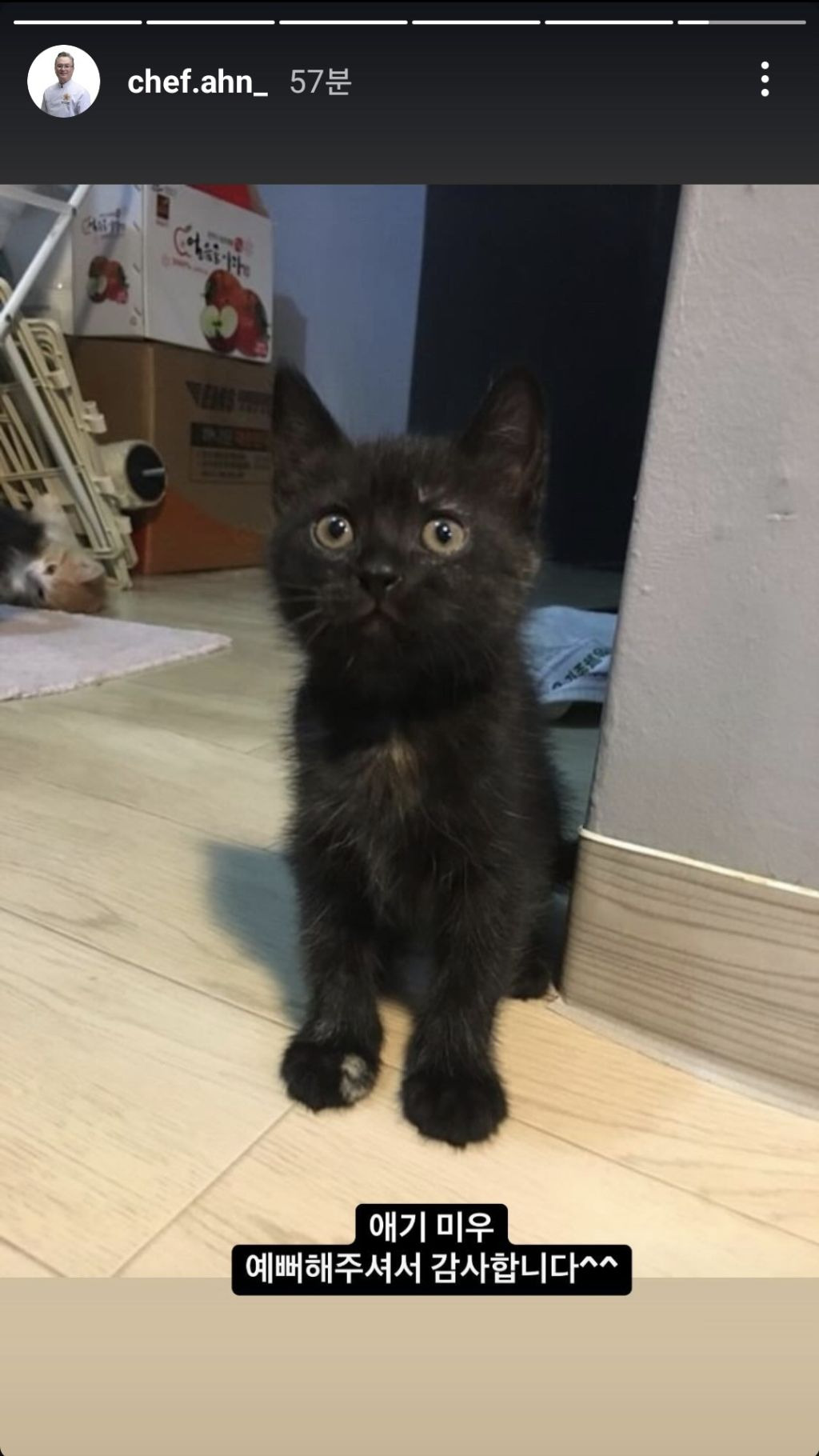 흑백요리사-안유성-명장님네-고양이-"미우"-5-이미지