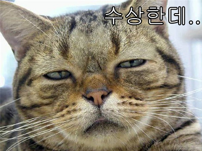 래퍼될라고-14살에-연습생-시작했는데-메인보컬로-데뷔해서-지금은-춤짱이-되벌었어요;;;-21-이미지