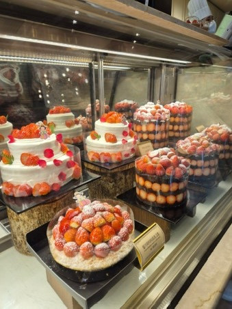 동네-빵집-딸인줄-알았던-신입이-성심당-주인-딸이었다면?-7-이미지