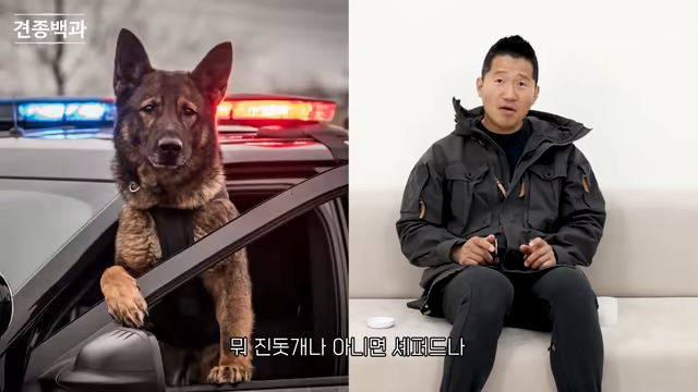 강형욱에게-문의가-가장-많이-온다는-사나운-견종-1-이미지