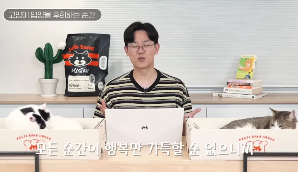 고양이를-키우며-포기한-것,-힘들었던-것-(feat.-mbti)-23-이미지