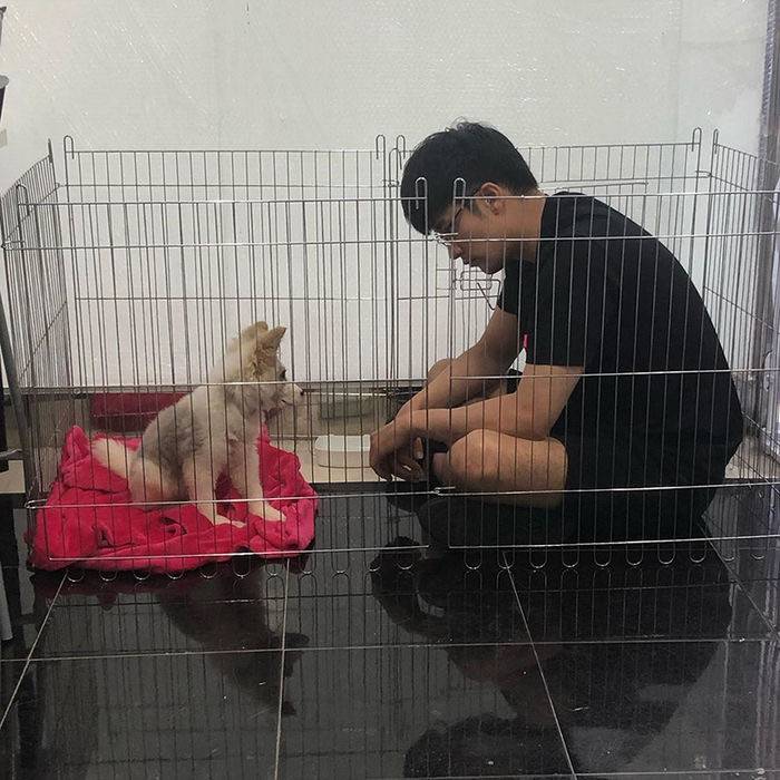 유기견,-유기묘를-입양한-연예인들-5-이미지