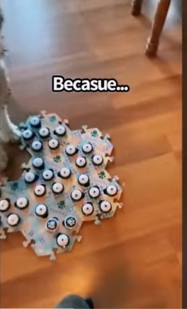 집사에게-예전에-개였냐고-물어보는-버니-🐶-20-이미지