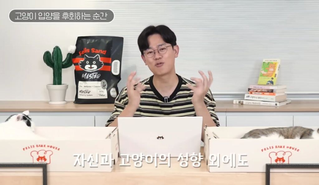 고양이를-키우며-포기한-것,-힘들었던-것-(feat.-mbti)-34-이미지