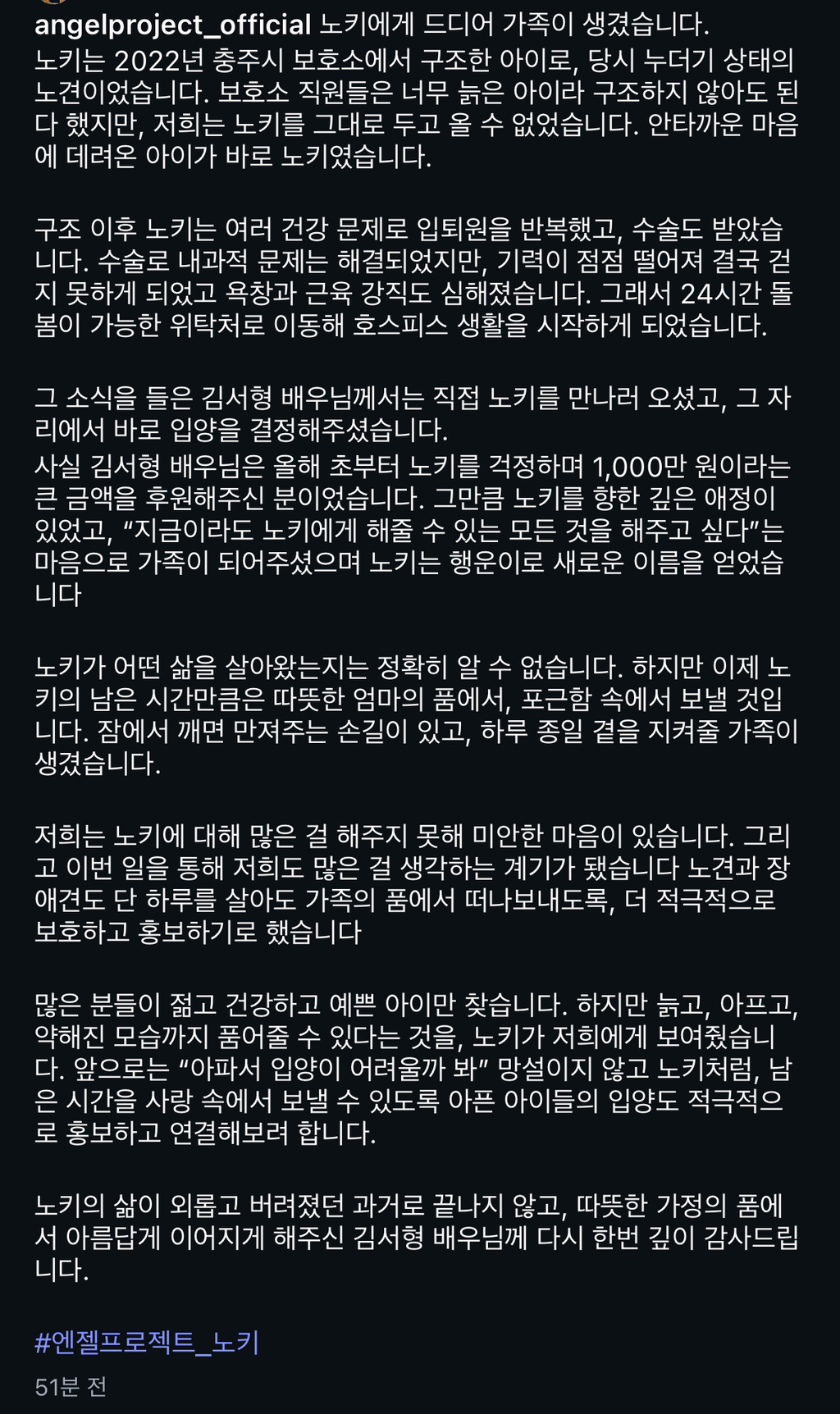 나이많은-유기견-‘노키’를-입양한-배우-김서형-4-이미지