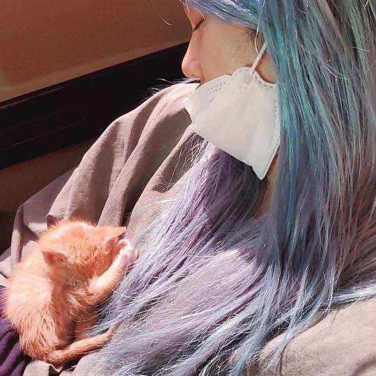 유기견,-유기묘를-입양한-연예인들-34-이미지