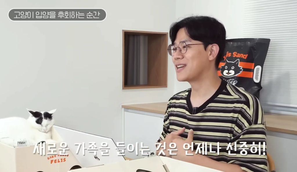 고양이를-키우며-포기한-것,-힘들었던-것-(feat.-mbti)-36-이미지