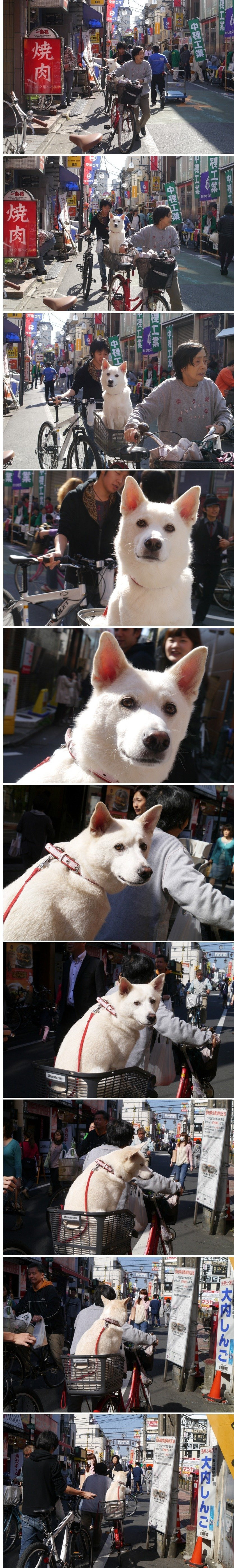 여보,-당신은-무사히-사람으로-태어났군요.jpg-0-이미지