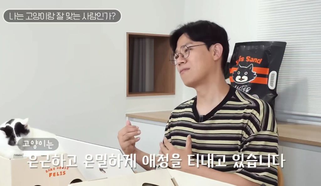 고양이를-키우며-포기한-것,-힘들었던-것-(feat.-mbti)-18-이미지
