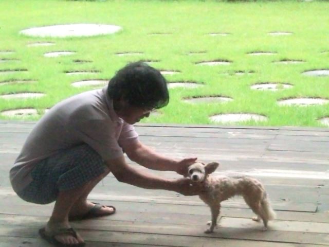 유기견,-유기묘를-입양한-연예인들-24-이미지