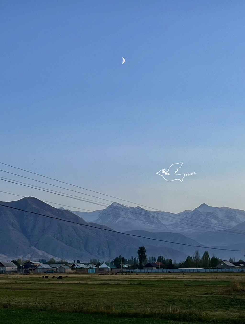 민희진-인스타그램-업데이트-.ins-3-이미지