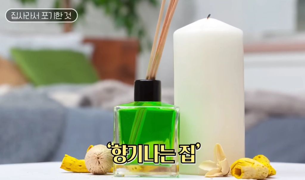 고양이를-키우며-포기한-것,-힘들었던-것-(feat.-mbti)-5-이미지