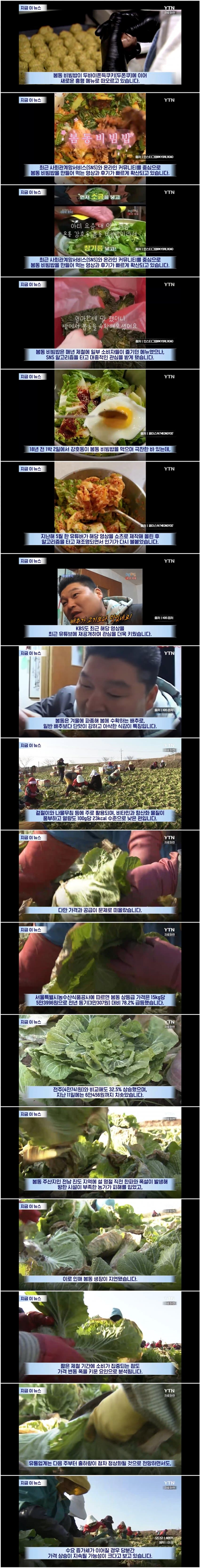 이제-두쫀쿠의-시대는-끝났다-0-이미지