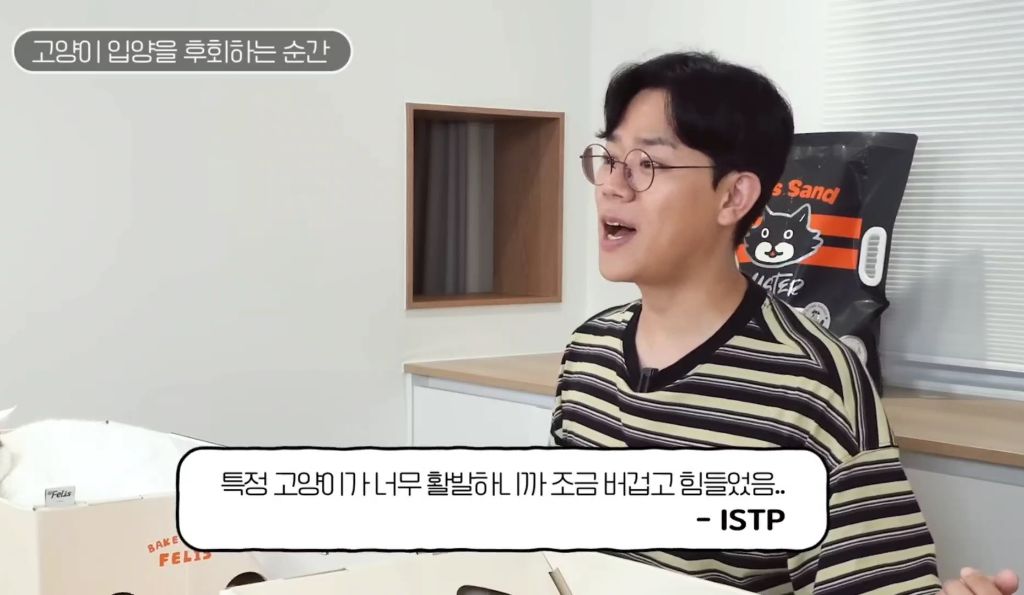 고양이를-키우며-포기한-것,-힘들었던-것-(feat.-mbti)-28-이미지