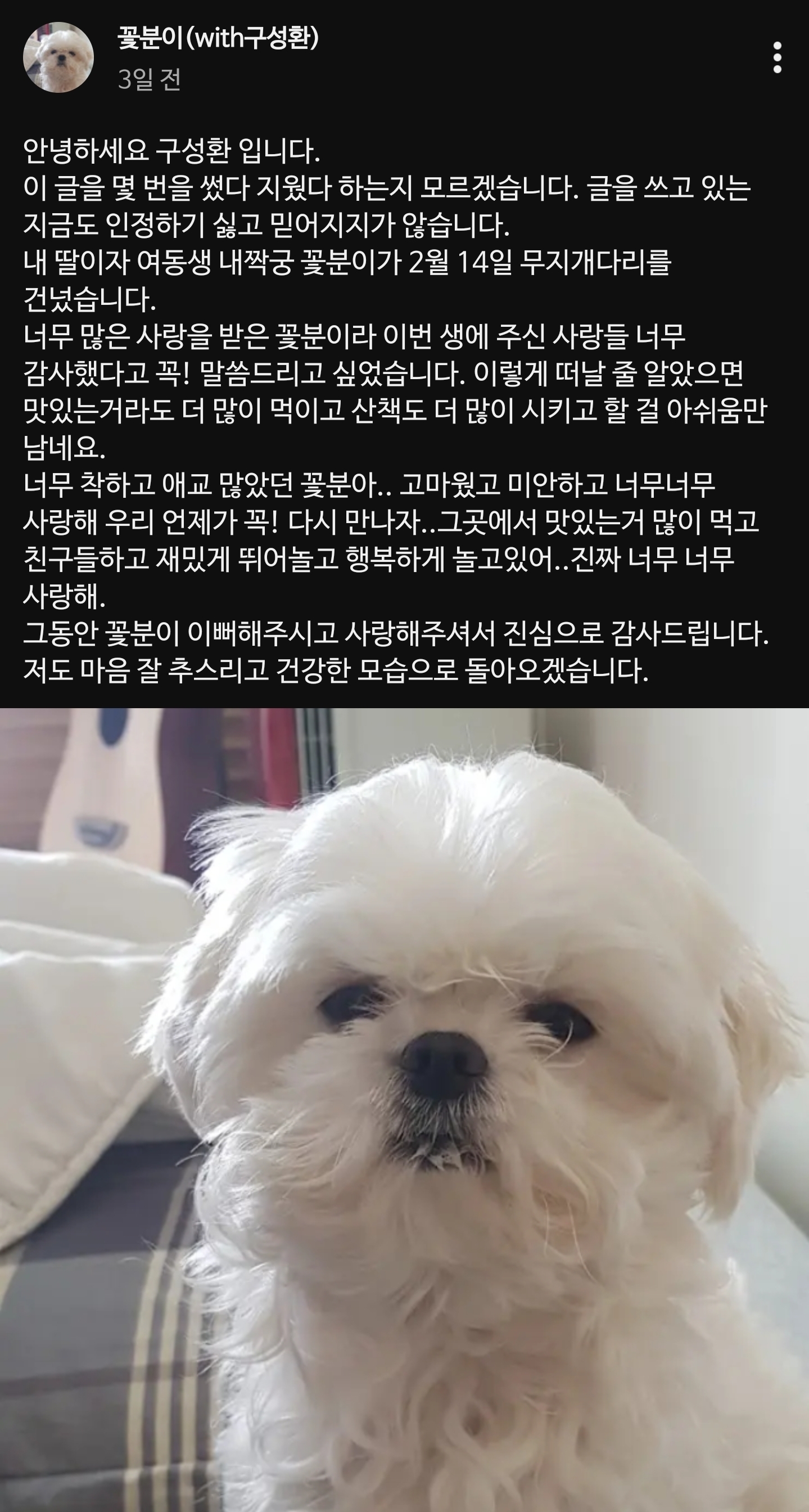 어젯밤-MBC-에브리원-채널에서-'나-혼자-산다'-회차가-연속-방송되었던-이유.jpg-4-이미지