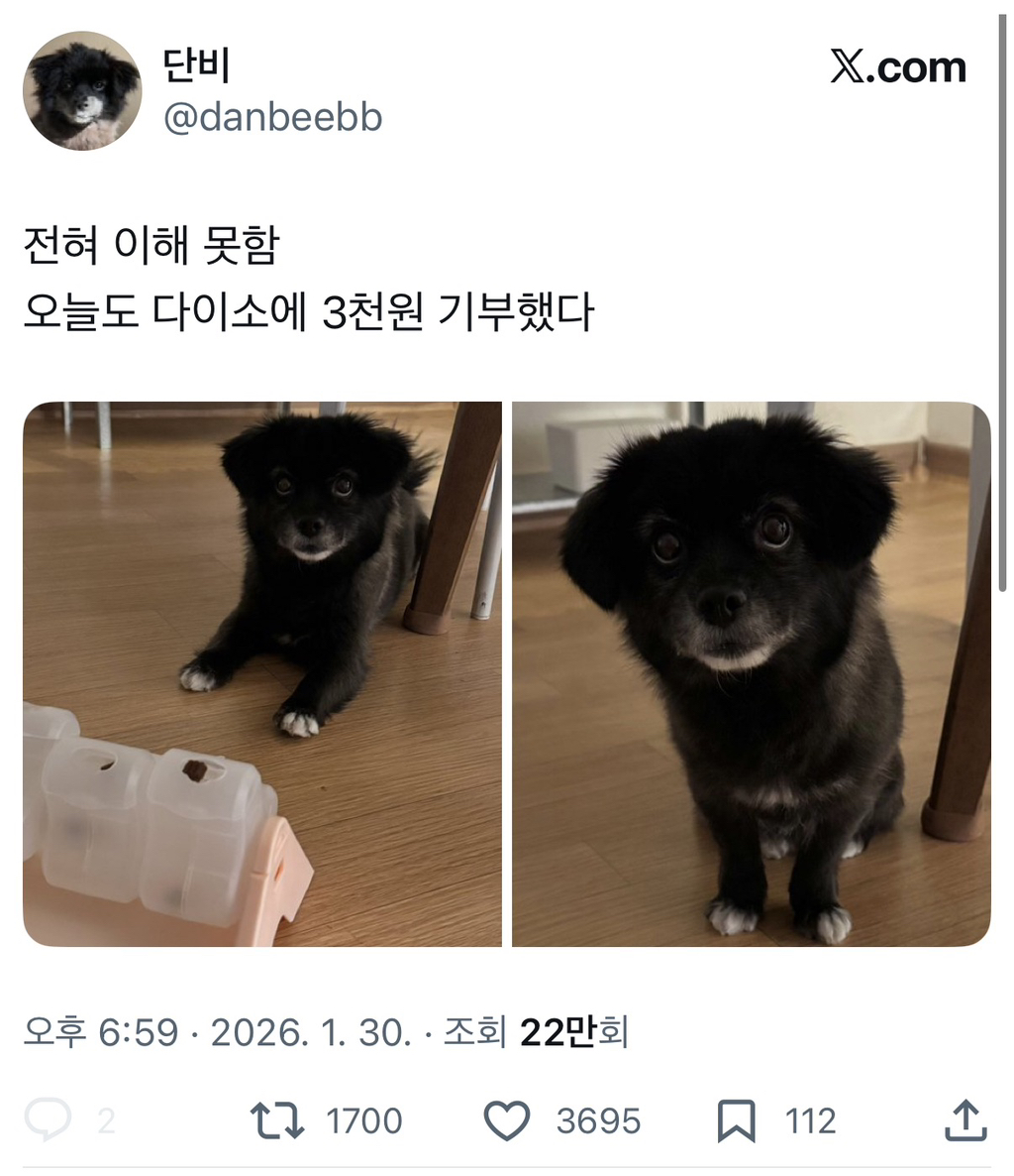 전혀-이해-못함-오늘도-다이소에-3천원-기부했다-0-이미지