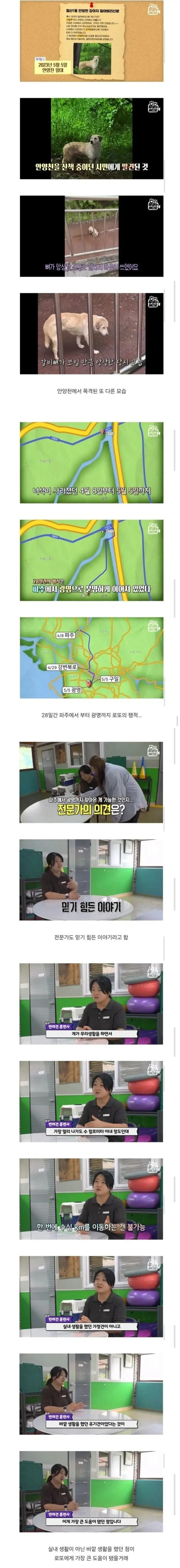 광명에서-유명한-강아지-3-이미지