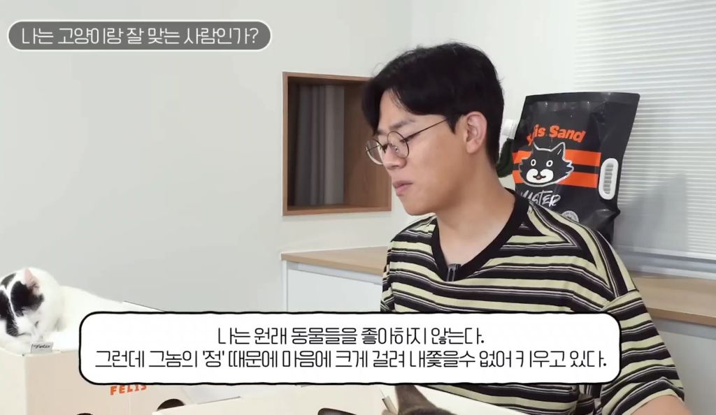 고양이를-키우며-포기한-것,-힘들었던-것-(feat.-mbti)-19-이미지