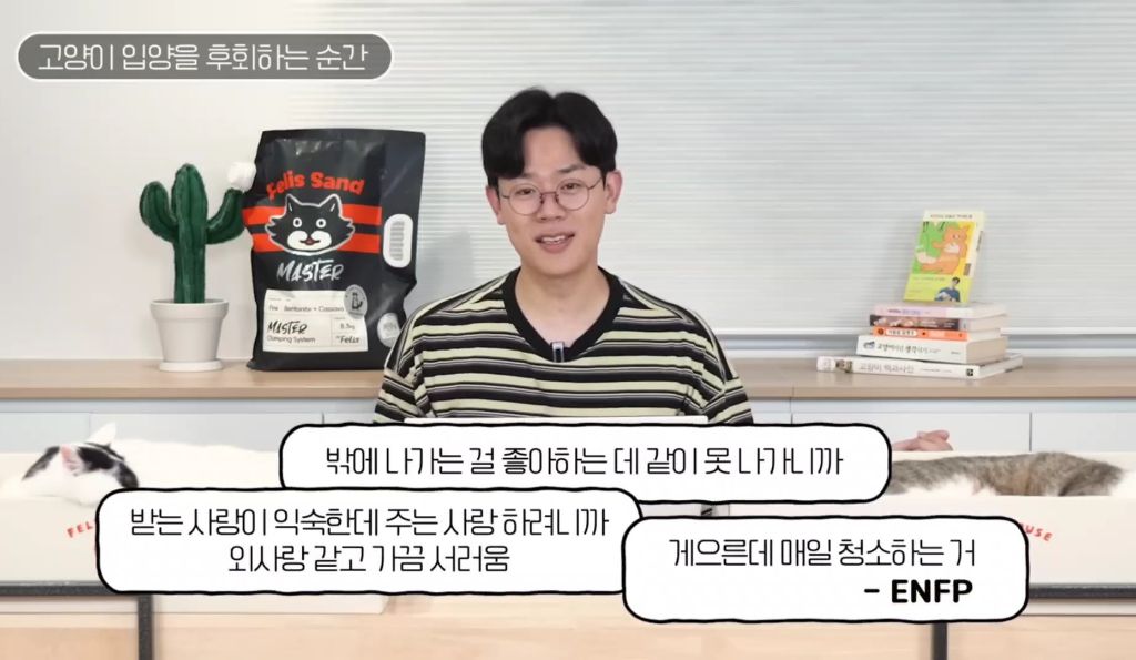 고양이를-키우며-포기한-것,-힘들었던-것-(feat.-mbti)-29-이미지