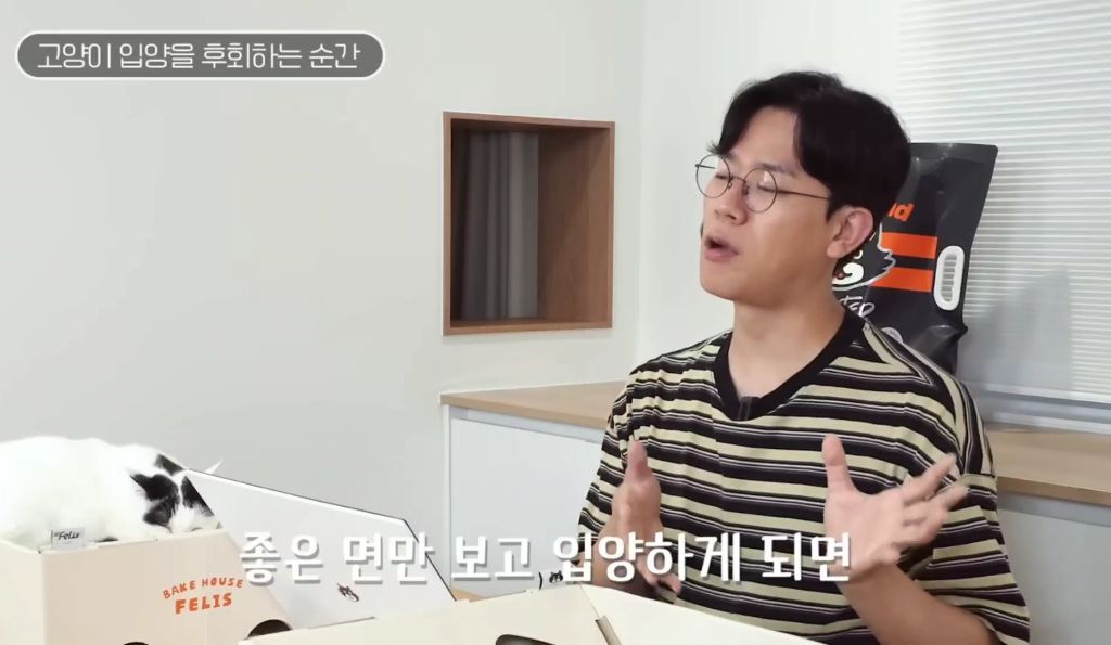 고양이를-키우며-포기한-것,-힘들었던-것-(feat.-mbti)-30-이미지