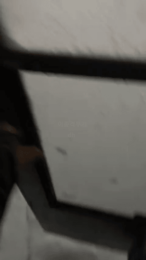 미국-눈-폭풍-수준-1-이미지