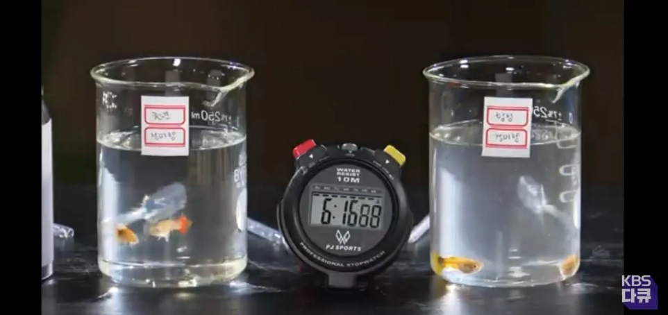 천연향료보다-엄청-싼-인공향료와-향료가-주는-위험성-9-이미지