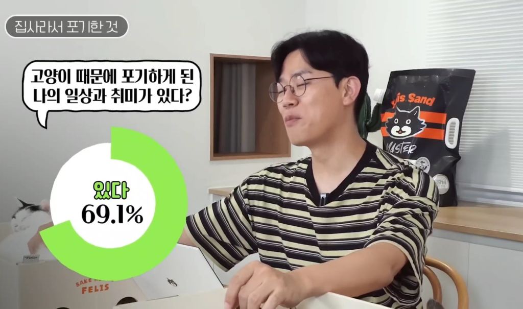 고양이를-키우며-포기한-것,-힘들었던-것-(feat.-mbti)-1-이미지