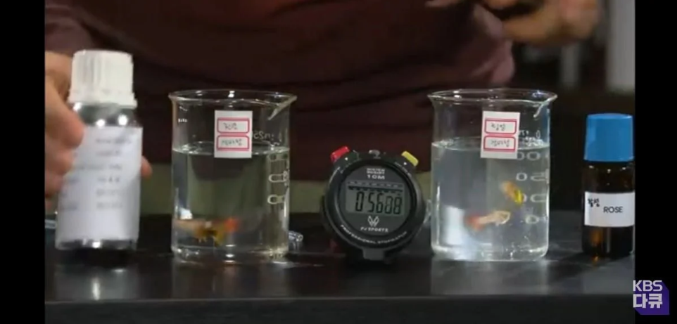 천연향료보다-엄청-싼-인공향료와-향료가-주는-위험성-8-이미지