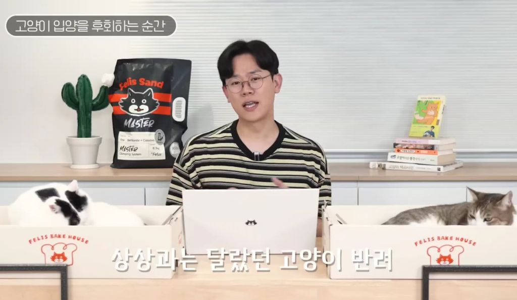 고양이를-키우며-포기한-것,-힘들었던-것-(feat.-mbti)-22-이미지