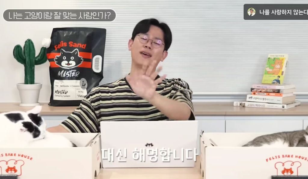 고양이를-키우며-포기한-것,-힘들었던-것-(feat.-mbti)-16-이미지