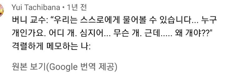 집사에게-예전에-개였냐고-물어보는-버니-🐶-43-이미지