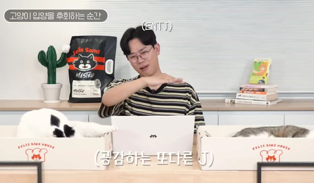 고양이를-키우며-포기한-것,-힘들었던-것-(feat.-mbti)-26-이미지