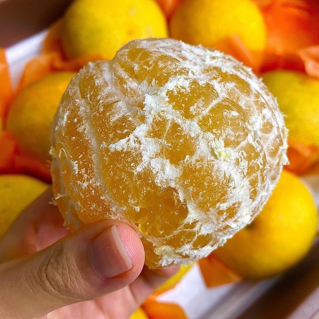 피를-맑게-만들어주는-음식..........jpg-0-이미지