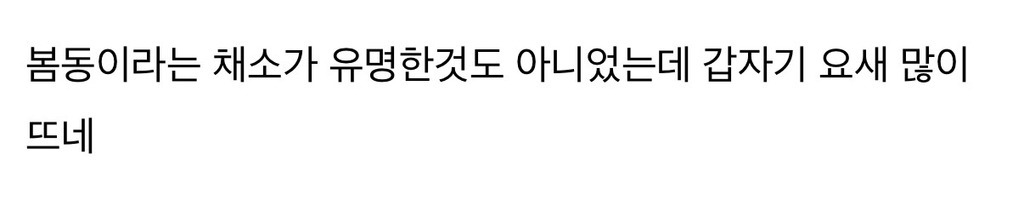 요즘-봄동-바이럴-너무-심한것-같지-않아?-0-이미지