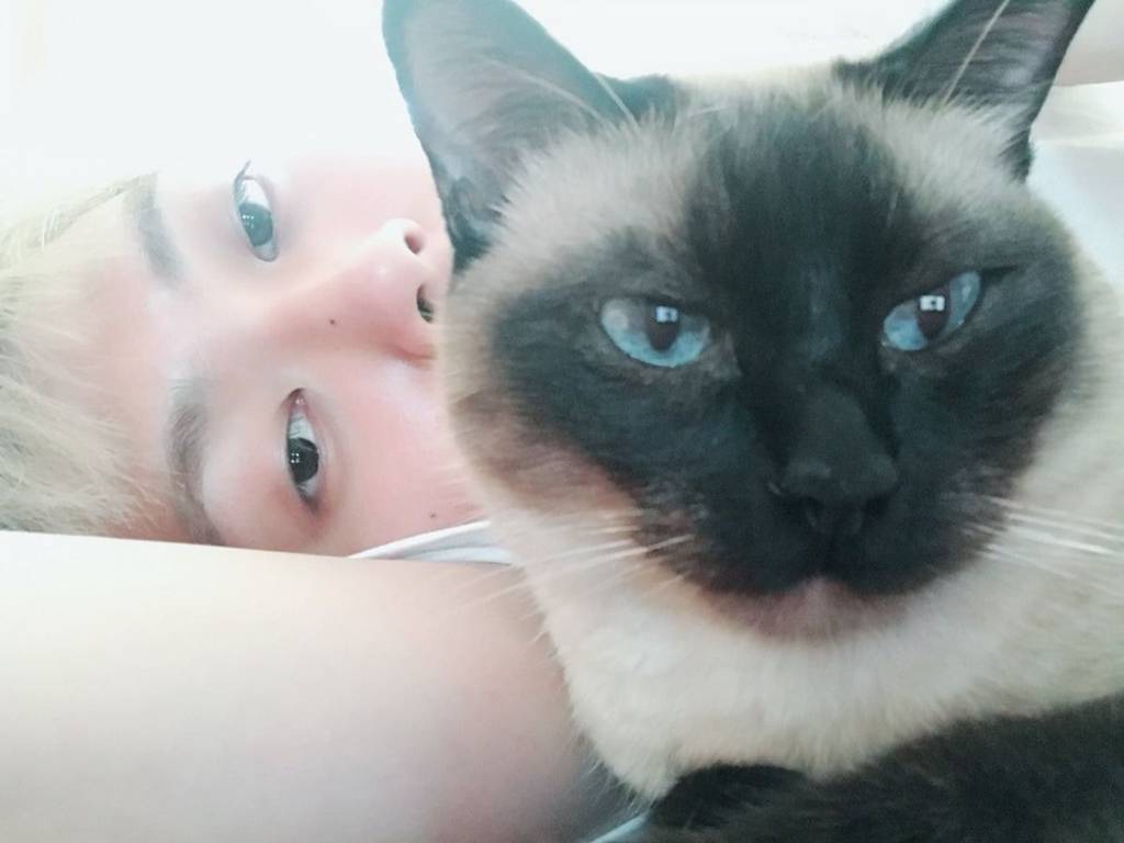 유기견,-유기묘를-입양한-연예인들-31-이미지