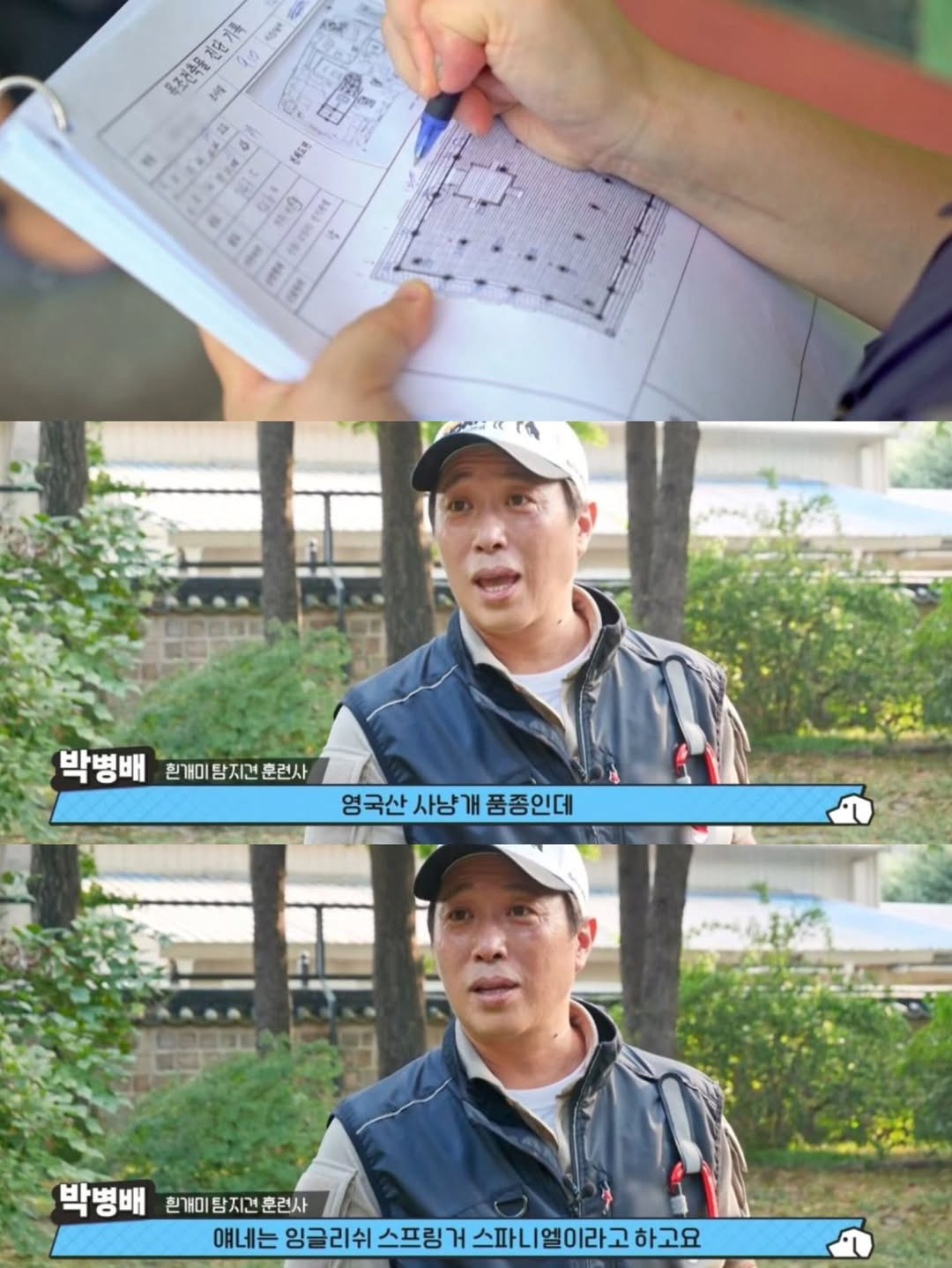 강아지-출입금지인-경복궁에-강아지-데려갔다고-6-이미지