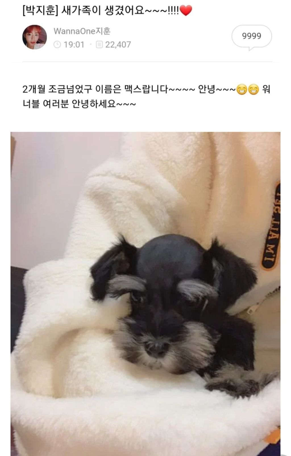 박지훈도-애견샵에서-강아지-데려옴-0-이미지