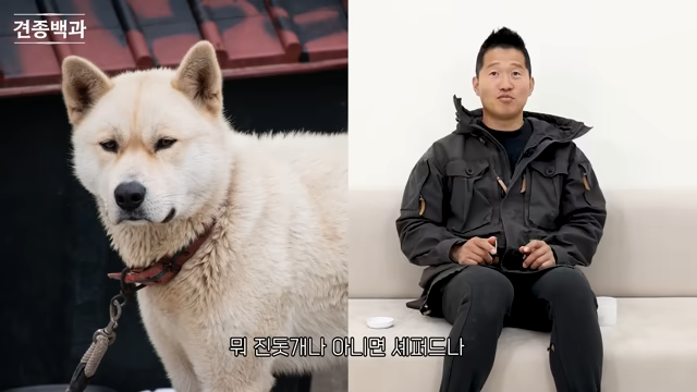 강형욱에게-문의가-가장-많이-온다는-사나운-견종-0-이미지