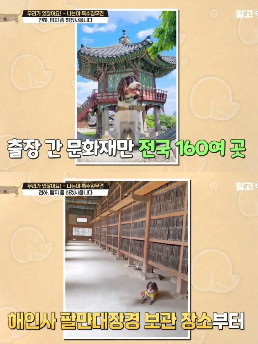 반려동물-출입금지인데-경복궁에-강아지-데려간-남자...-11-이미지