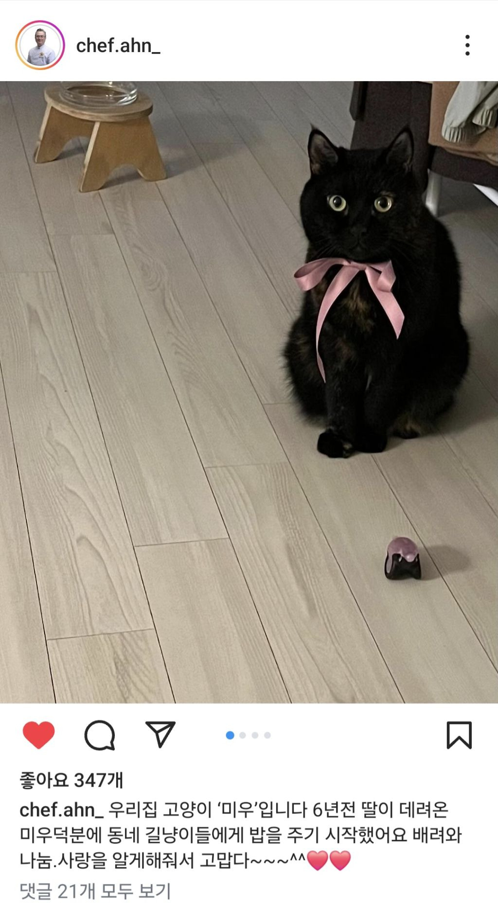 흑백요리사-안유성-명장님네-고양이-"미우"-0-이미지