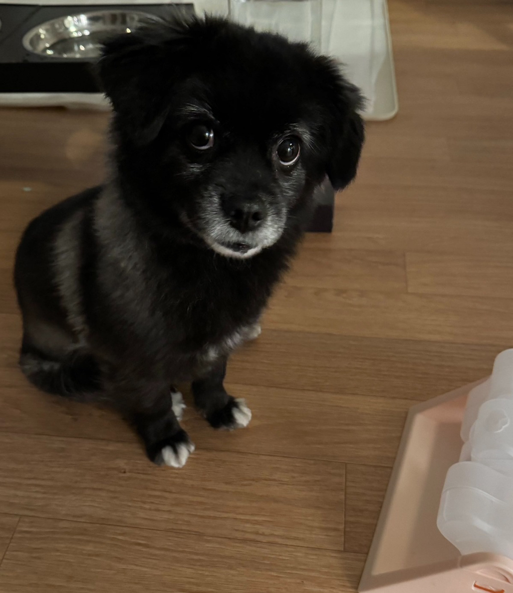 전혀-이해-못함-오늘도-다이소에-3천원-기부했다-5-이미지