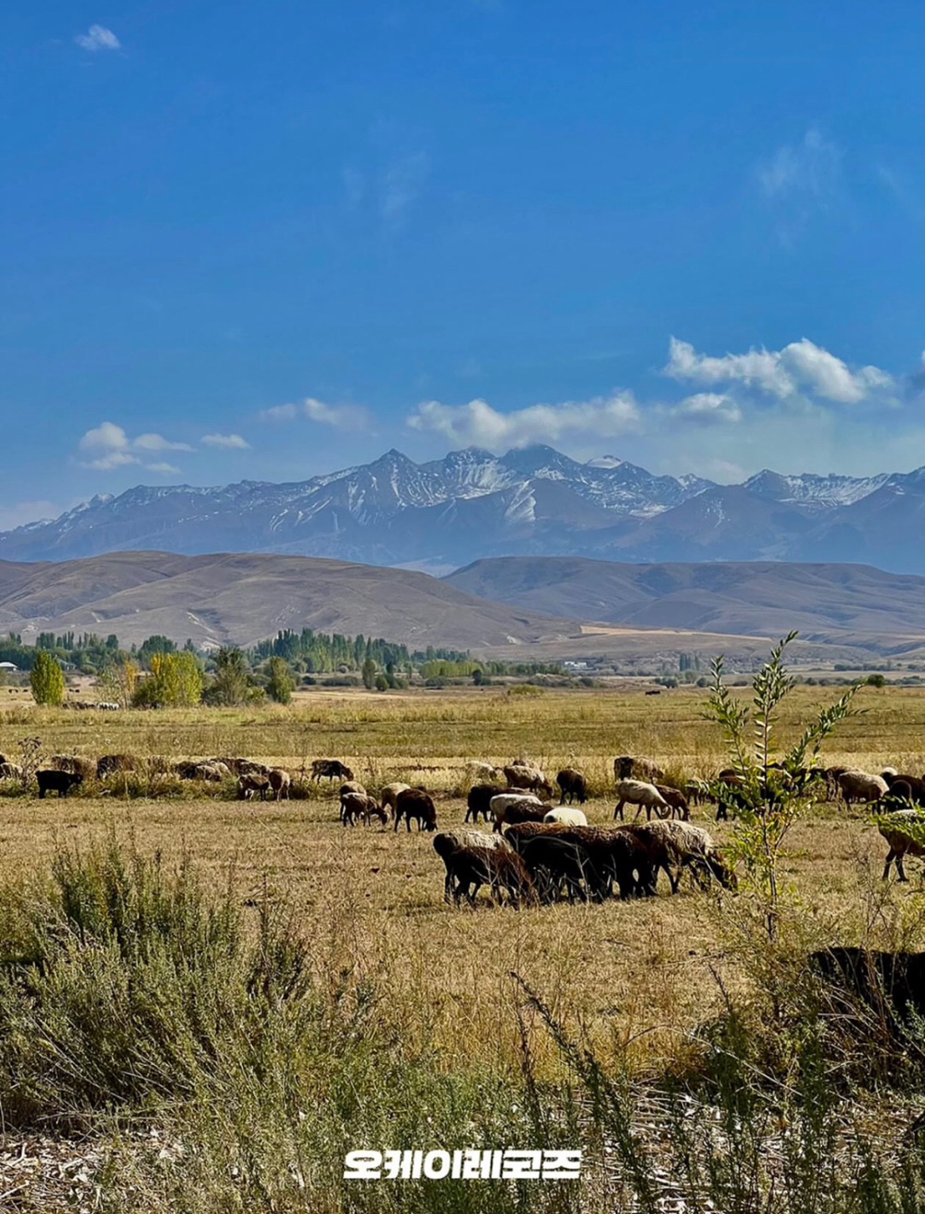 민희진-인스타그램-업데이트-.ins-6-이미지