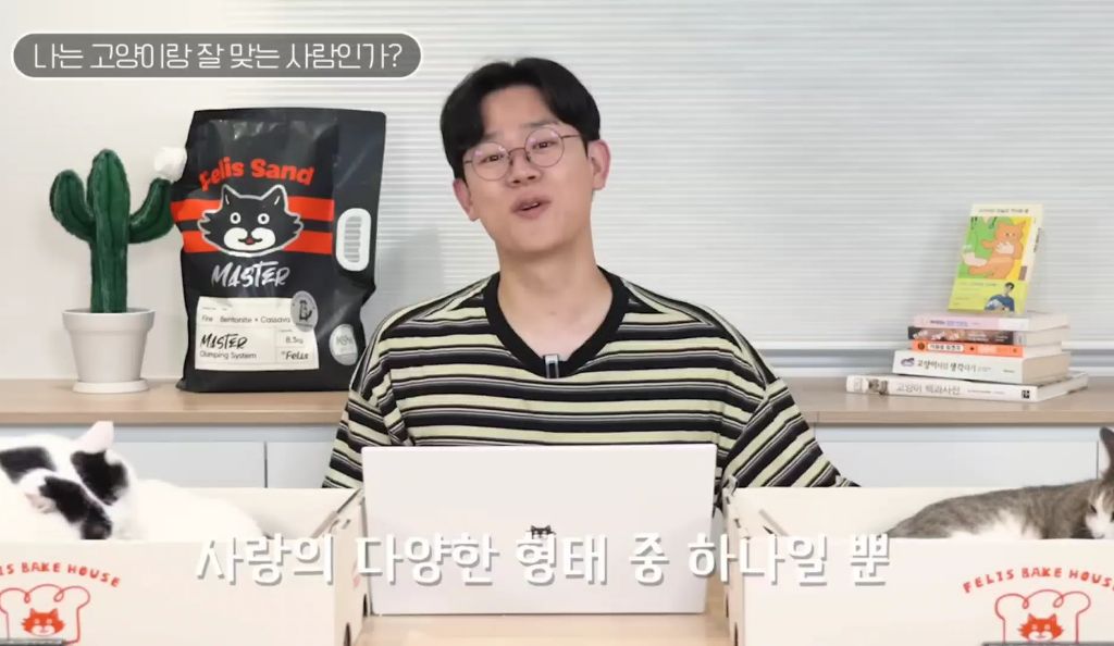 고양이를-키우며-포기한-것,-힘들었던-것-(feat.-mbti)-20-이미지