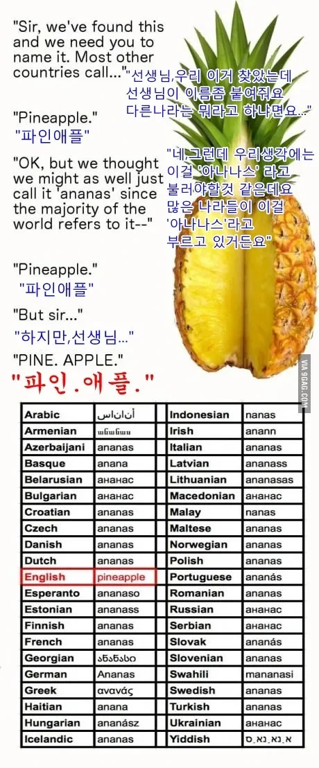 영어-:-이-과일을-파인애플이라-부르겠다-0-이미지