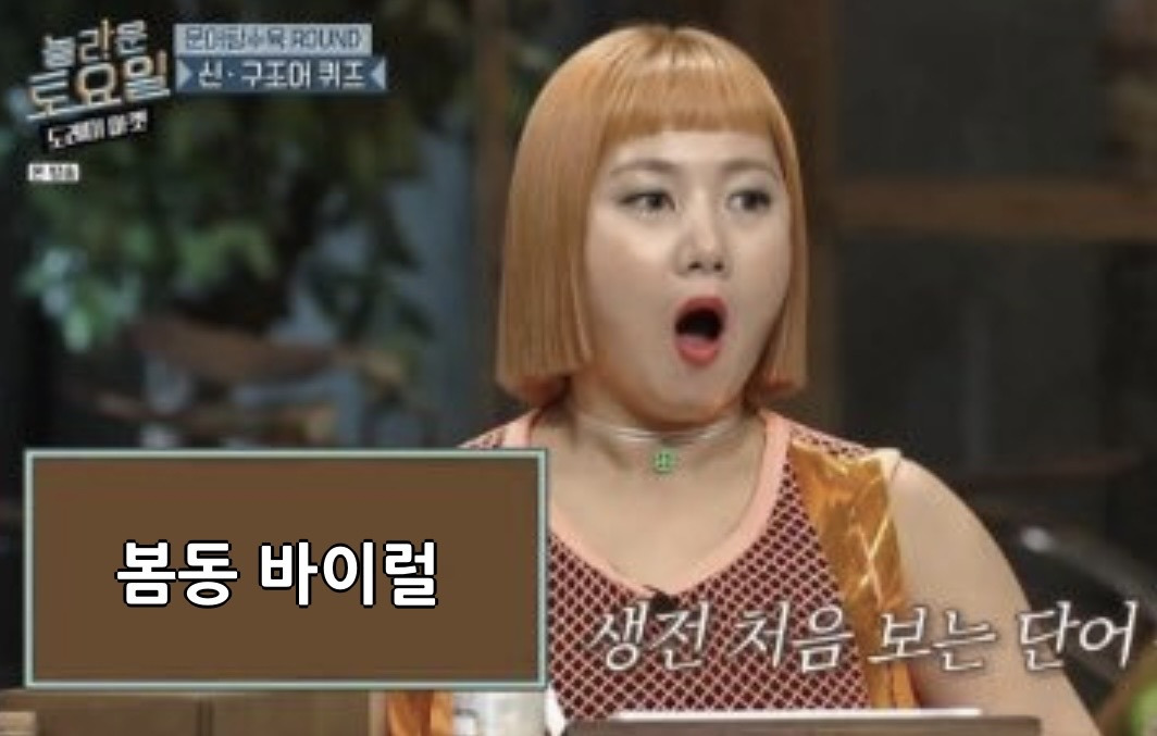 요즘-봄동-바이럴-너무-심한것-같지-않아?-10-이미지