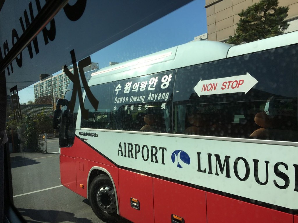 현존하는-경기도-수원의-왕-0-이미지