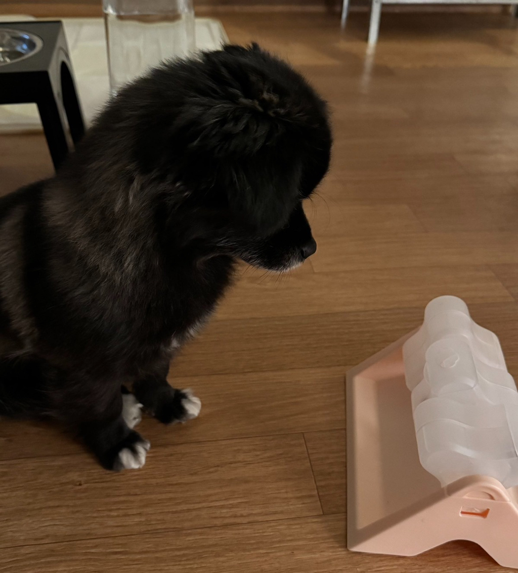 전혀-이해-못함-오늘도-다이소에-3천원-기부했다-4-이미지