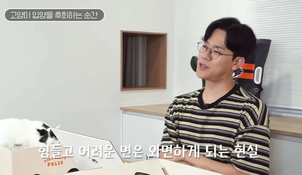 고양이를-키우며-포기한-것,-힘들었던-것-(feat.-mbti)-31-이미지