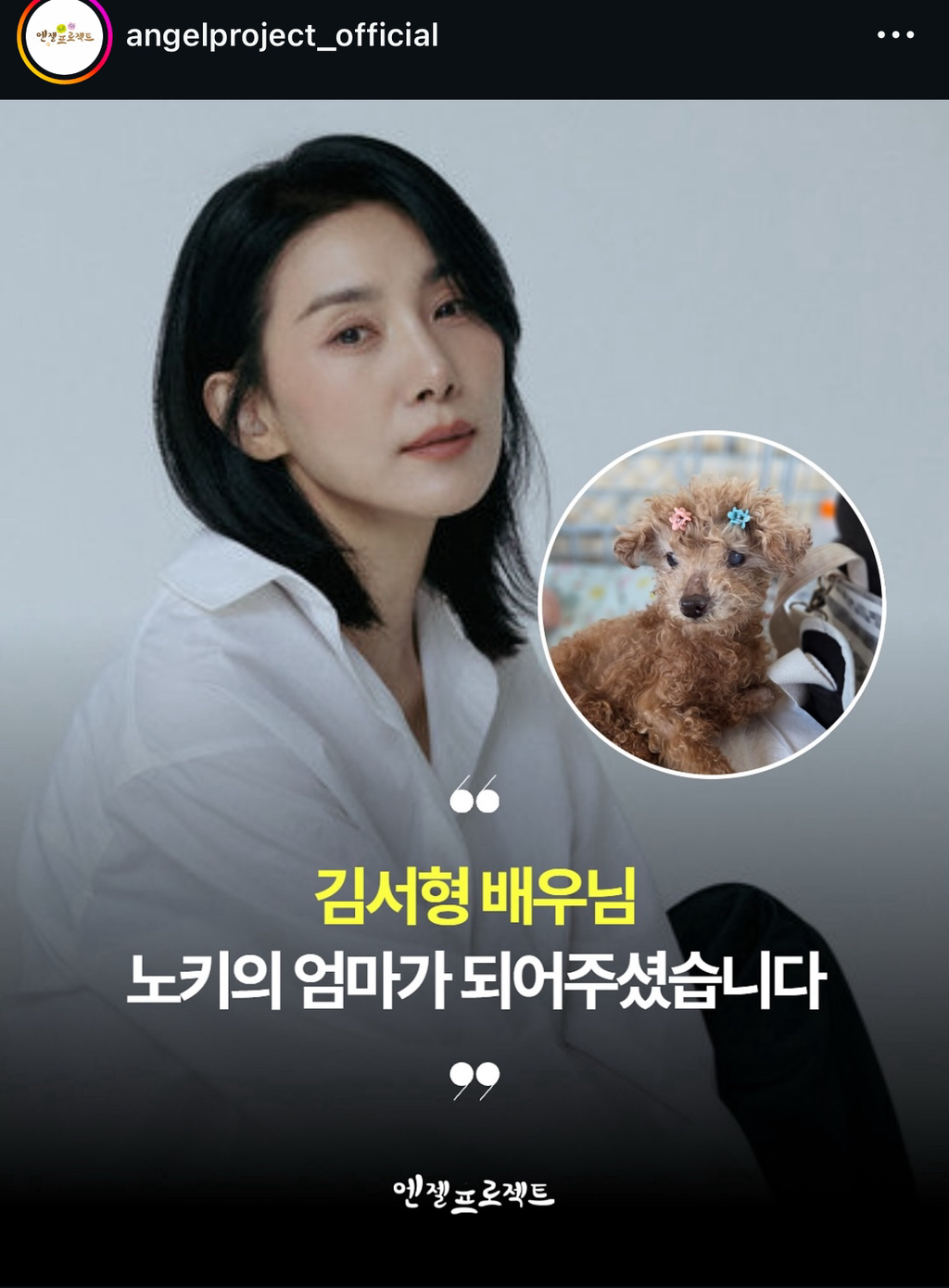 나이많은-유기견-‘노키’를-입양한-배우-김서형-0-이미지
